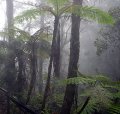 humidity-meters-hygrometers