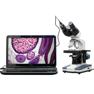 microscope